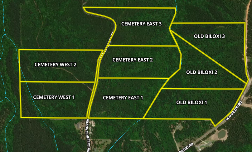 Screen Shot 2024-01-24 at 8.24.03 AM