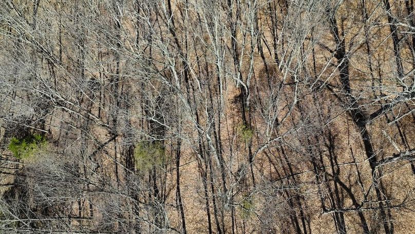 DJI_20260324124009_0146_D