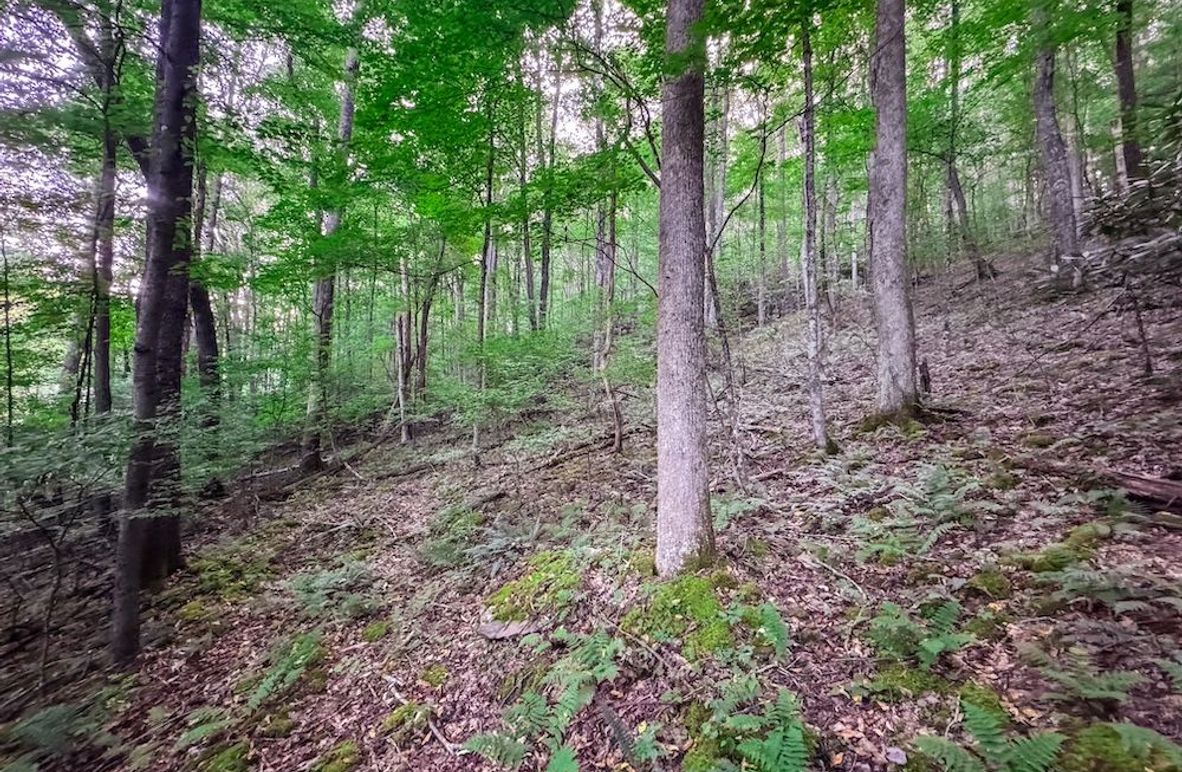 Webster, WV 42 AC Barger-04