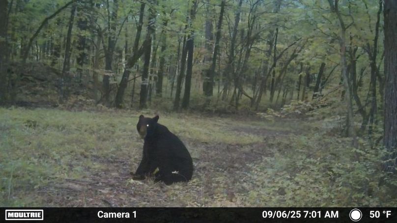 Temp_1959107-20250906120203-100MFCAM_MFDC5314_281_29