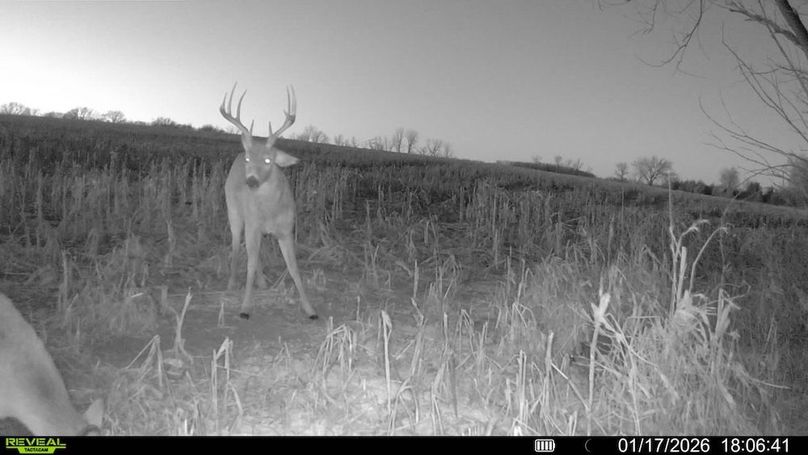 016578000659844-88-2-01172026180641-SYFW14050