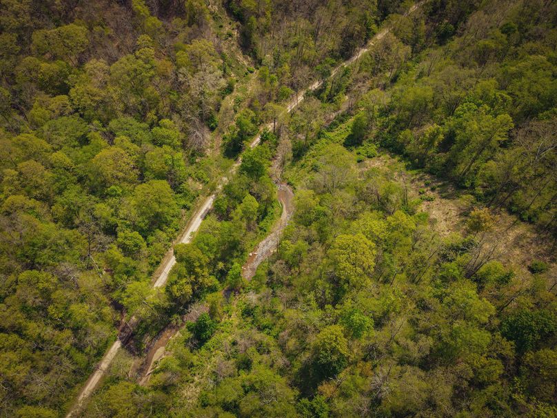 dji_fly_20230510_120126_657_1683734498788_photo