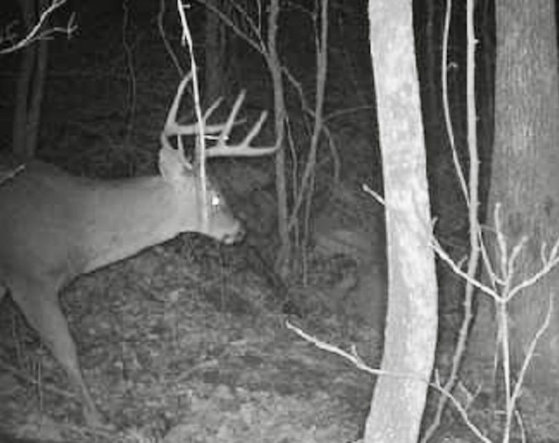 Screenshot_20231229_201056