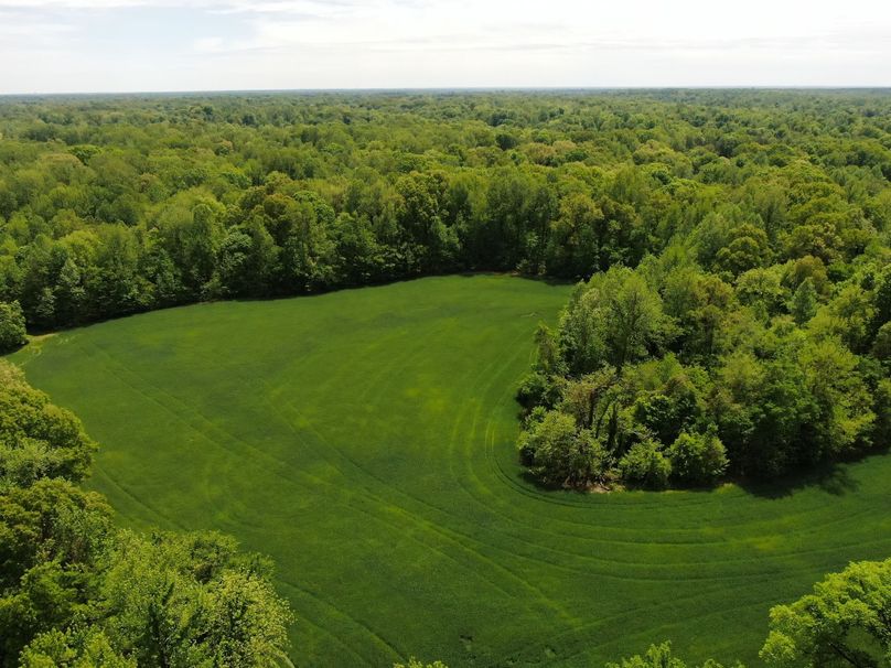 Field aerial