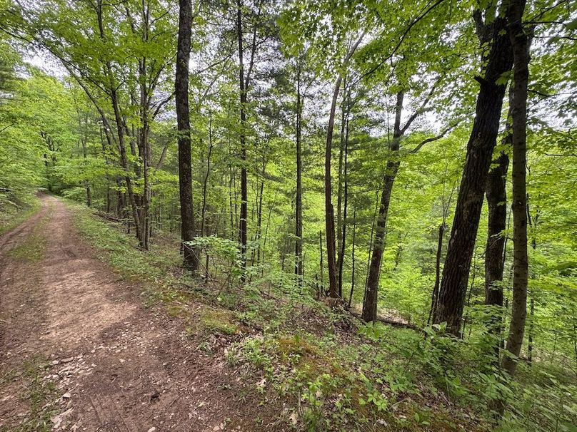 Pleasants, WV 168.59 AC Superior, Swank, Young-101