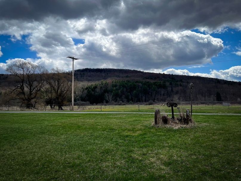 Tioga__NY_109.7_Burris_Photos_47