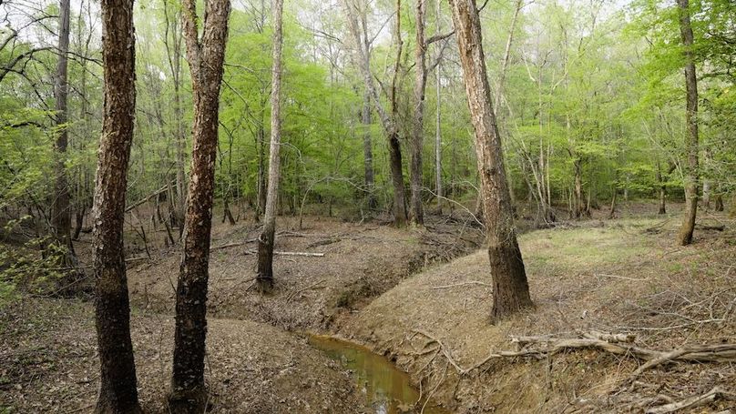 Marion TX 143 and 117 Featured_WEB.00_04_04_12.Still002