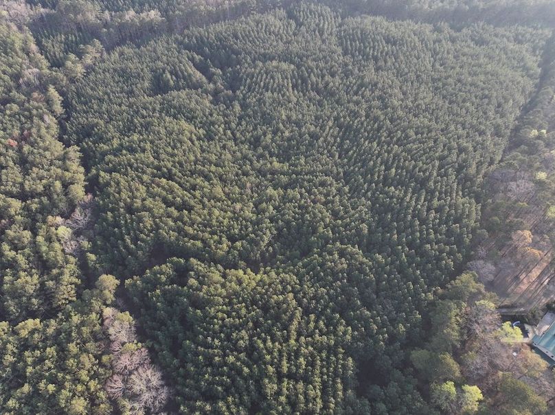 012FE - 83 Acres - Drone-4