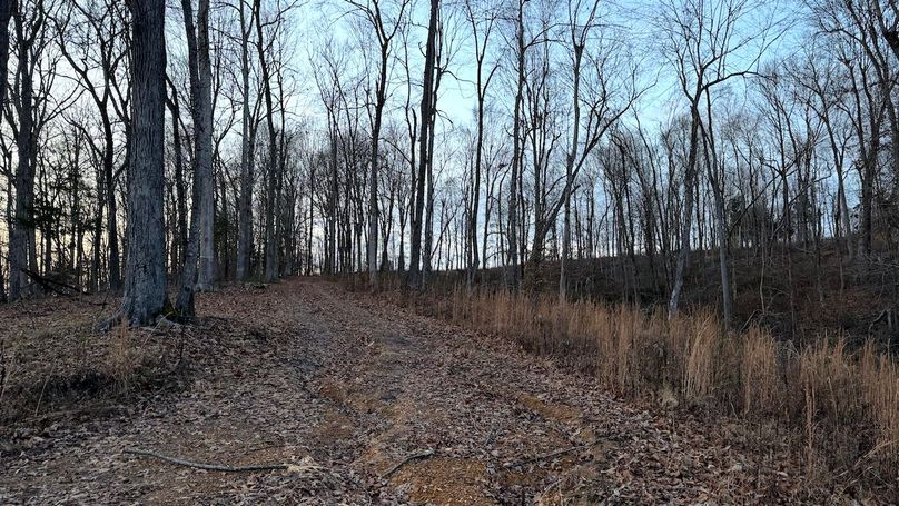 Grayson 48.195 Johnson19