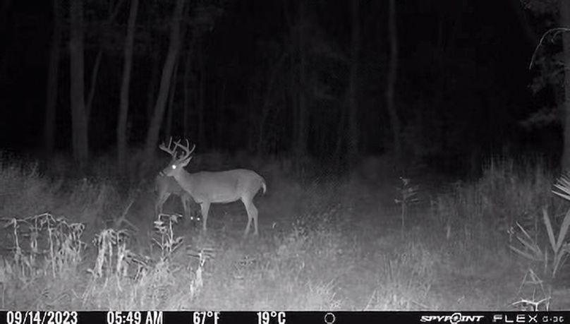 Tallahatchie 847 Trail Cam (JPG)-09