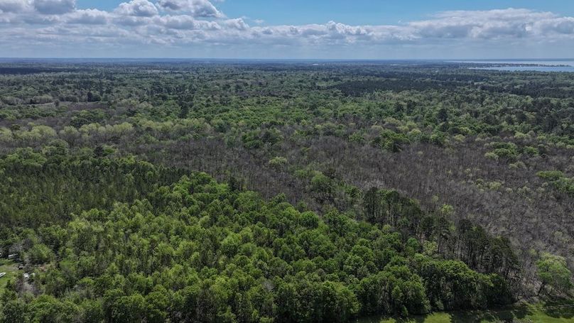 DJI_20260327115840_0049_D