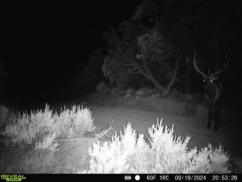 860516060102641-100-2-09192024205326-V-W1000051