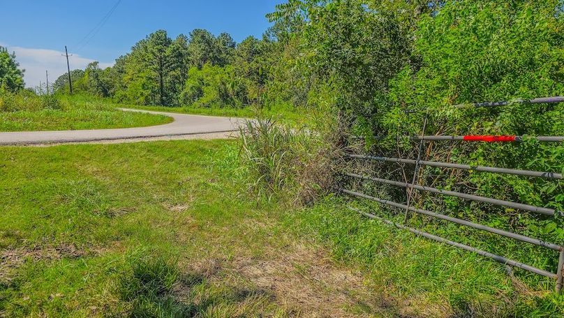 Copy of 20240909_113459