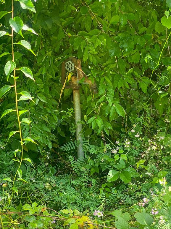 Rowan Ky 5 wilburn -010