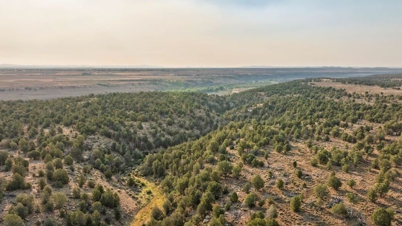 DJI_0560_1