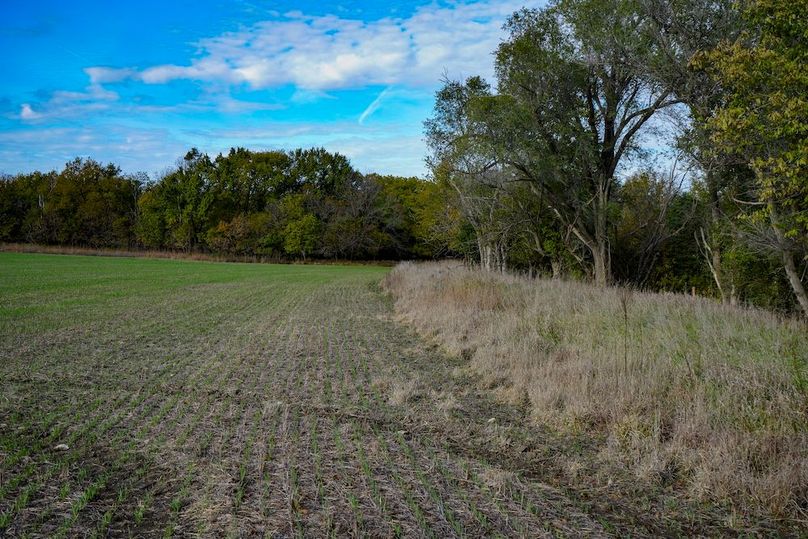 Dickinson Co, 154.5_046