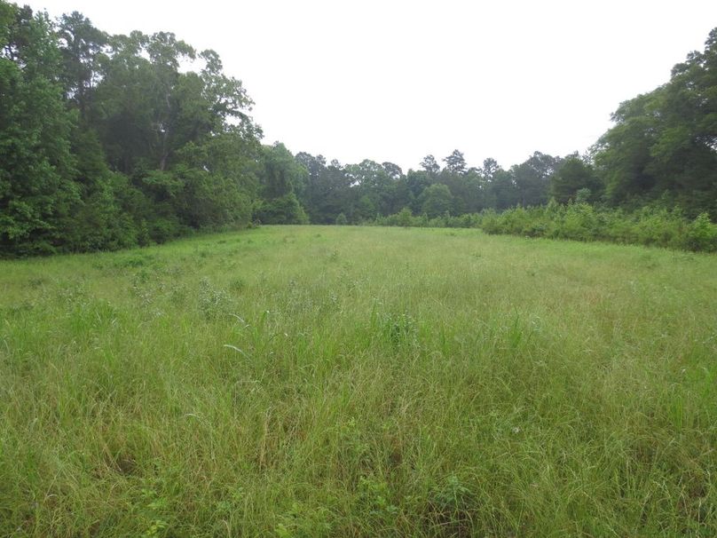 7ADF8A05-B859-46E8-9EC2-49C886452074_1_105_c