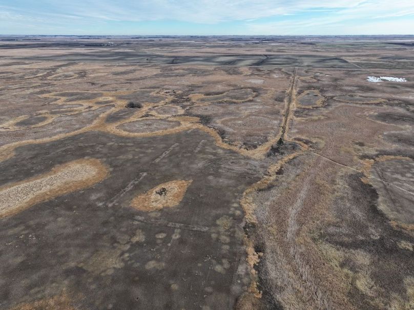 DJI_20241118113237_0327_D