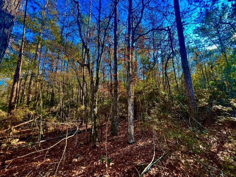 AA9ABF38-90F3-49B8-9586-DF01EDEC52B7_1_201_a