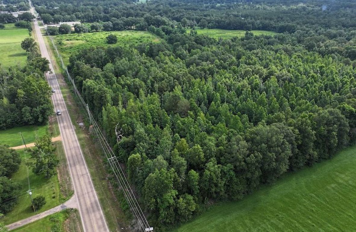 dji_fly_20250624_092534_0112_1750950824648_photo