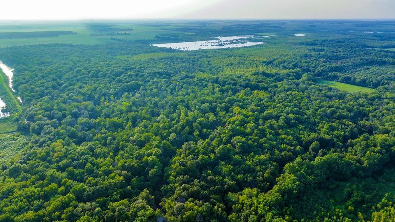 DJI_20240819182314_0138_D