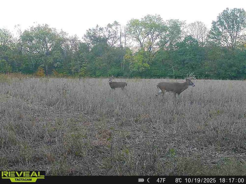 Copy of Trail photos.19