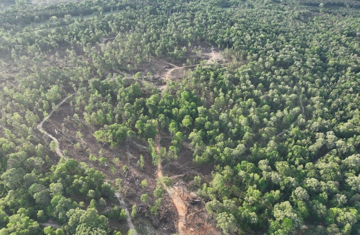 dji_fly_20260407_083046_340_1775580381960_photo