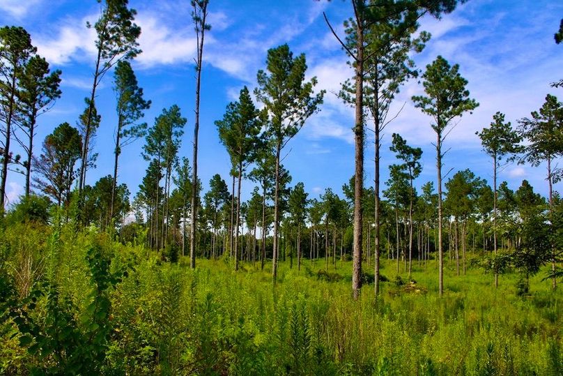 3A627E8E-AE27-48C5-B786-13BF8B1BA3E3_1_105_c