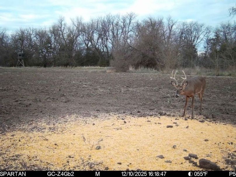 Jan_16_2026_2_37_33_2