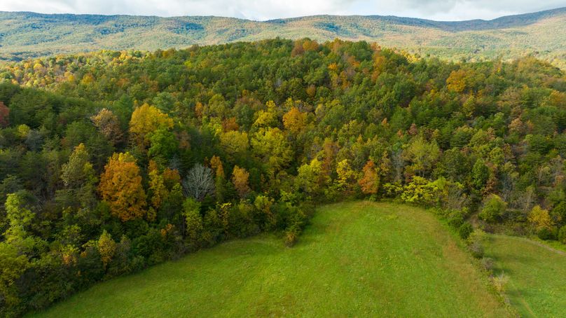 37 Alleghny VA 78 Featured_Pro Photo-7