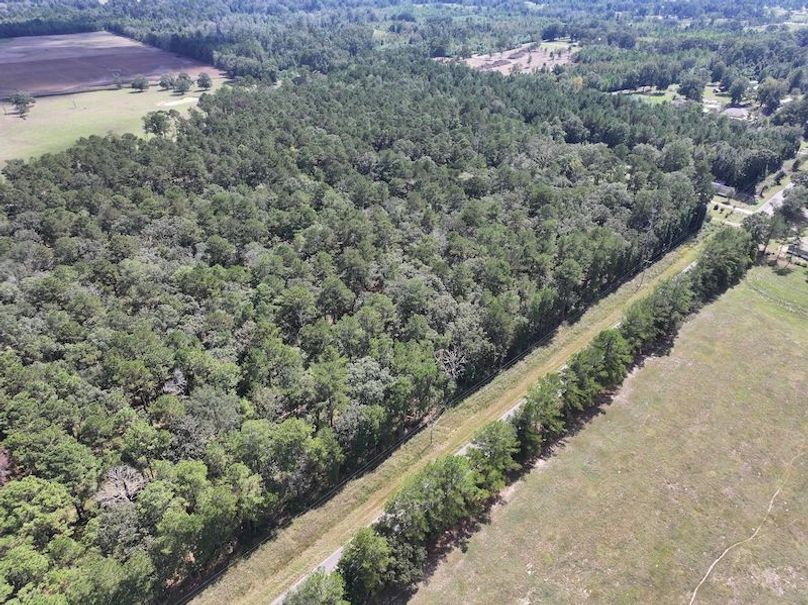 dji_fly_20250929_130452_0566_1759177335757_photo