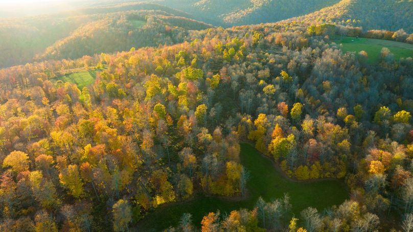 Elk PA 7000 Feature_Pro Photo-159