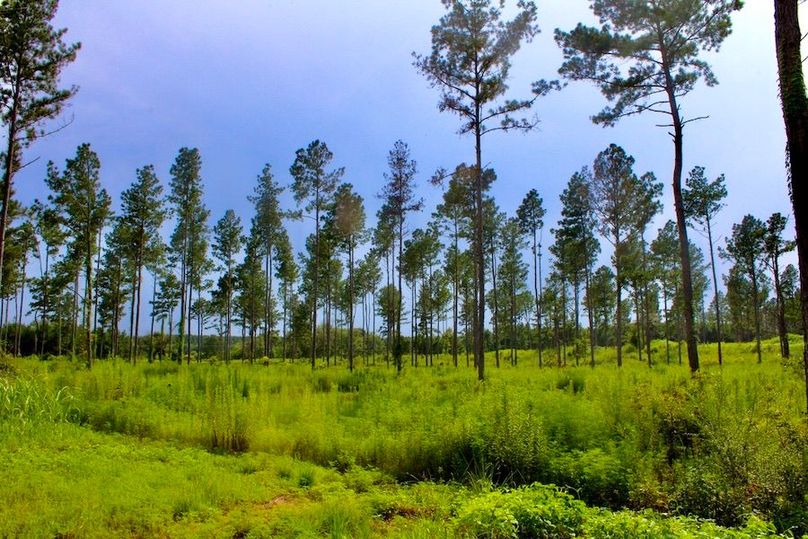 7C5D5F23-96D1-4F91-8567-16B64FA5D895_1_105_c