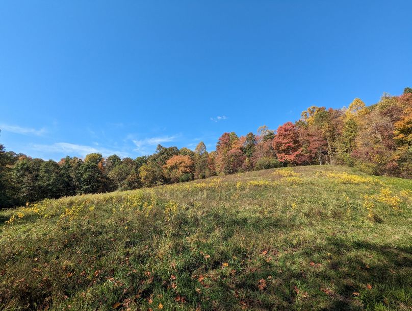 PXL_20231004_165102815