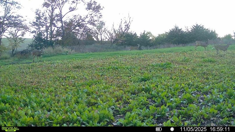 016578004304843-75-2-11062025030145-HD-SYFW01462