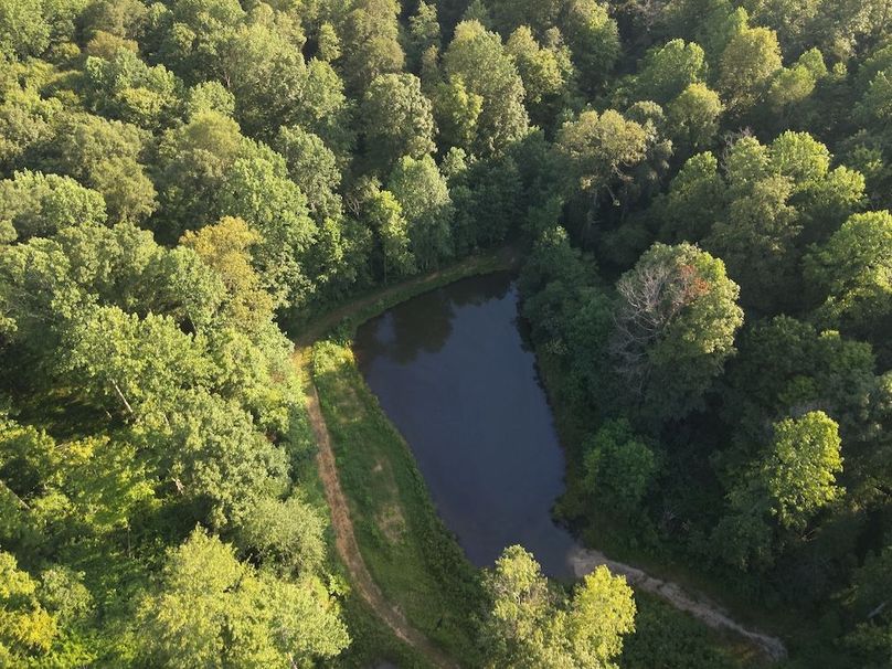 DJI_20250806184916_0006_W