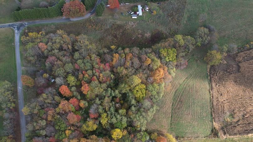 dji_fly_20251024_104504_850_1761317522206_photo