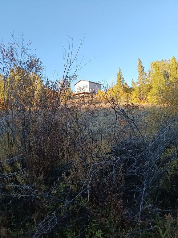 Resized_20250923_181844