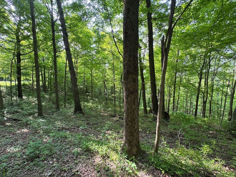 Pleasants, WV 168.59 AC Superior, Swank, Young-061
