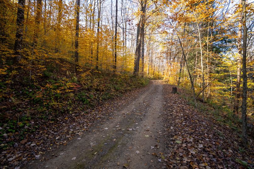 Elk PA 7000 Feature_Pro Photo-128