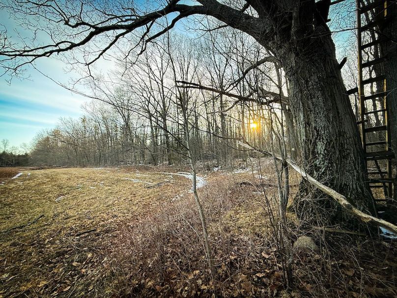 Seneca_24.54_Hohwald_Photos_30