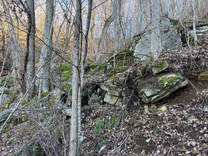 026 Clay 124.76 Fleaback-30