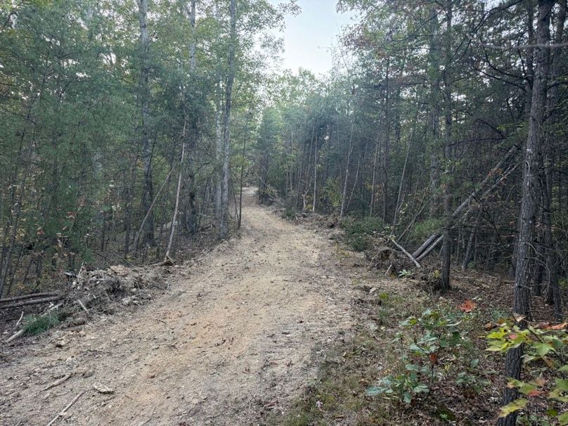 009 some of the recently opened trail system in the north portion of the property
