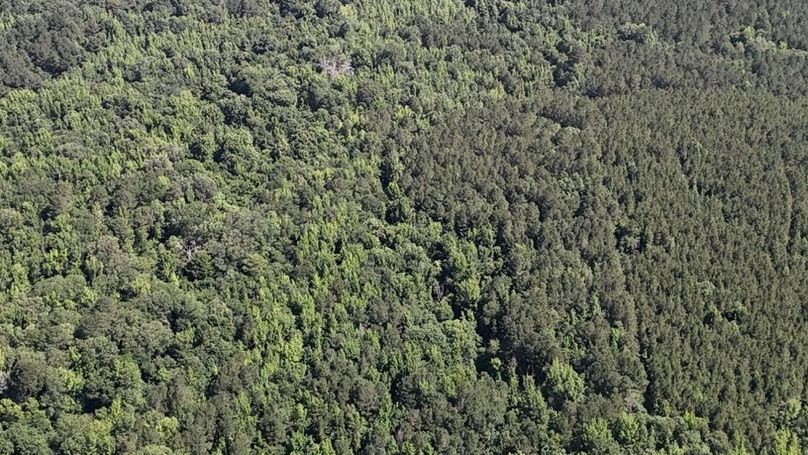 DJI_20260602233920_0055_D