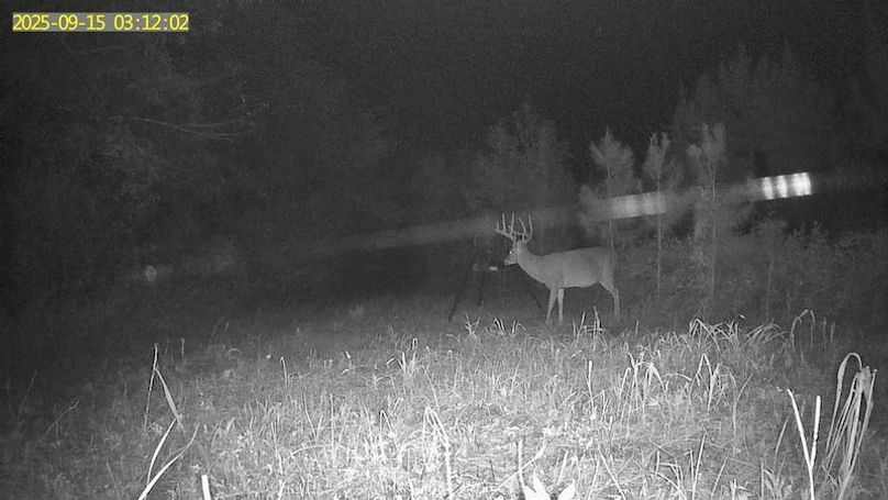 MPOEBLPJPBRWY6WF6YXA_20250915_031203