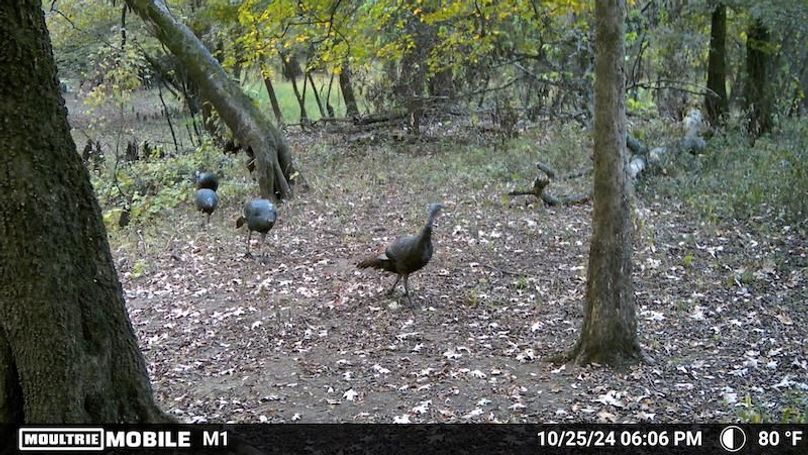 1688612-20241025230752-100MFCAM_MFDC0001