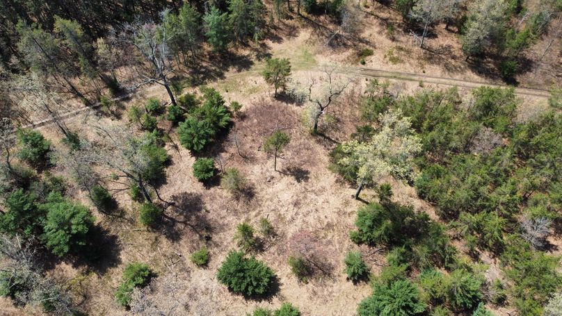 dji_fly_20230511_114918_461_1683838260787_photo_optimized