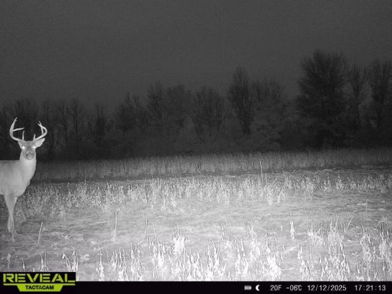 865814042165447-100-1-12122025172112-W1001354