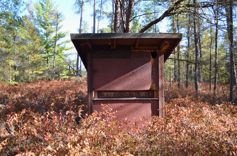 Screenshot 2025-11-14 at 11.19.49 AM