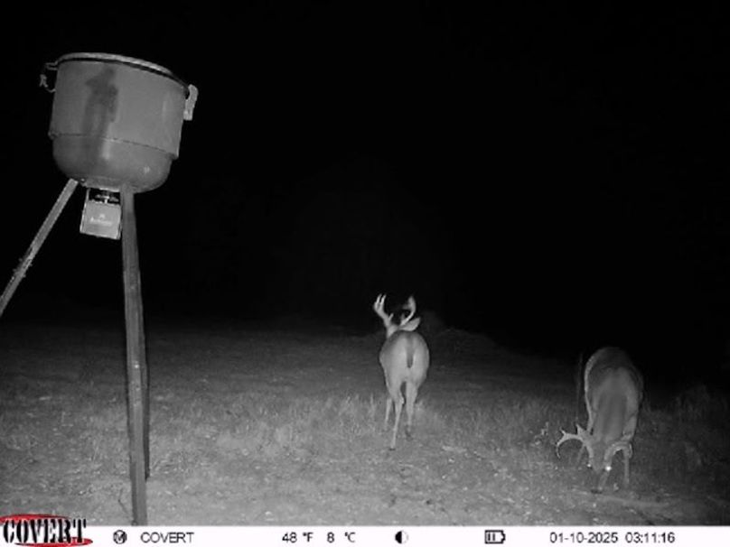 Trail Cam 3